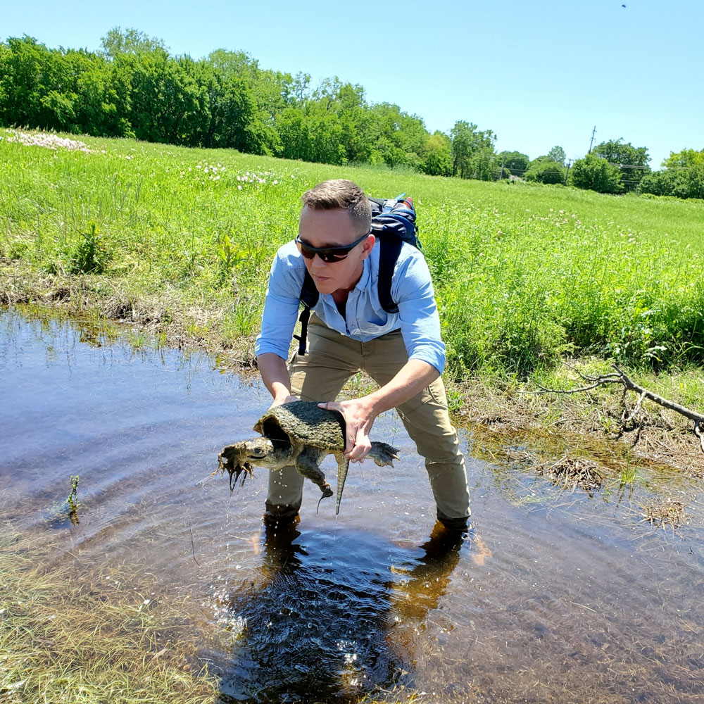 BioBlitz. A person standing in a pond while holding a turtle.